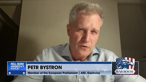 PETR BYSTRON: one German patriot was detained for 9 months without trial — and then found innocent!
