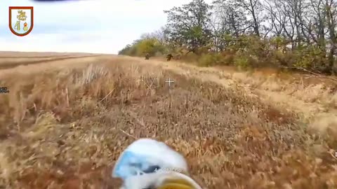 🌳🔫 Ukraine Russia War | UAF Soldiers Surprised by FPV Drone Approach | RCF