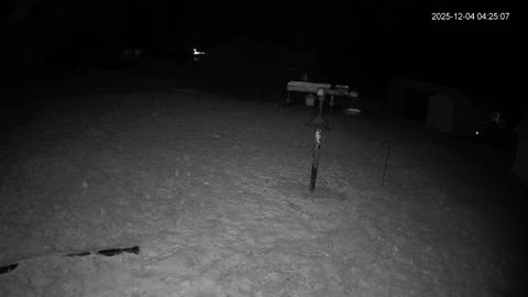 Bird Feeder in Western Maryland USA