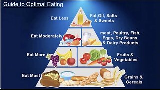 Kelloggs Germs and Food Pyramids