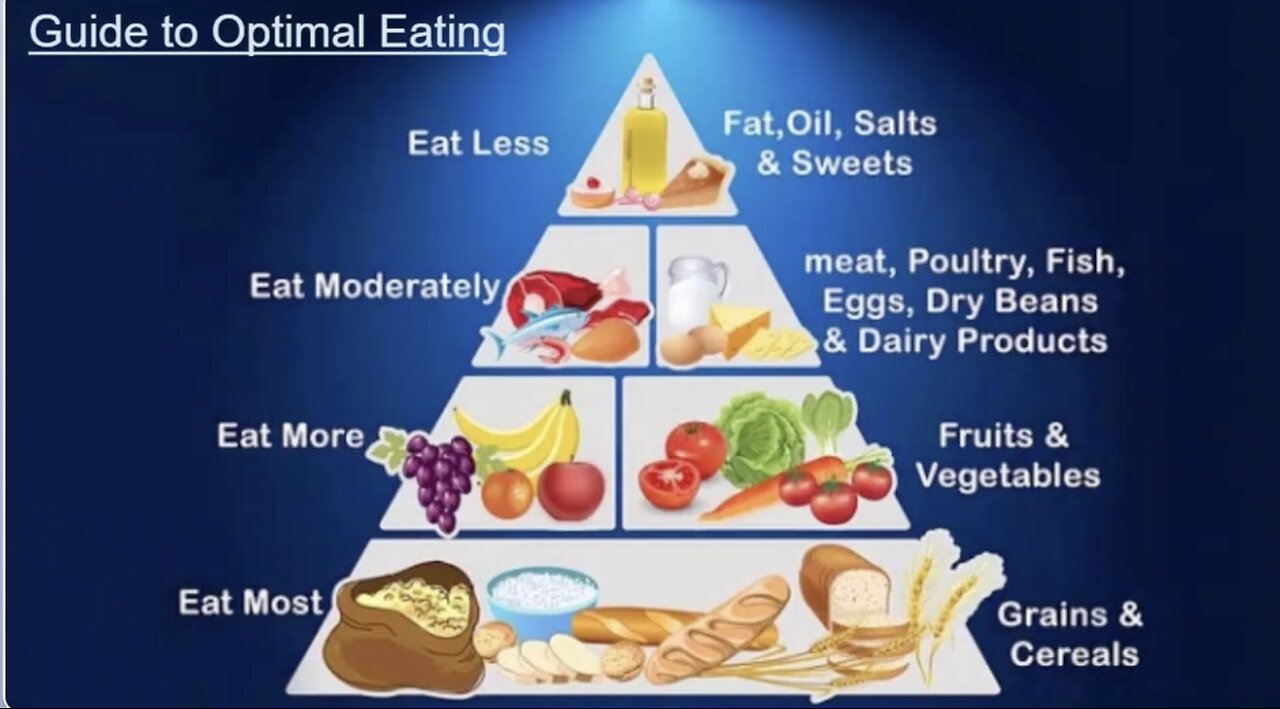 Kelloggs Germs and Food Pyramids