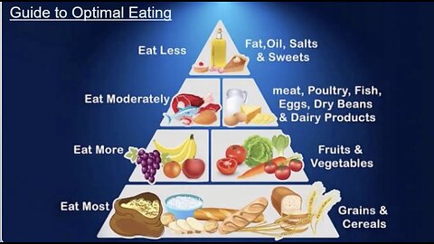 Kelloggs Germs and Food Pyramids