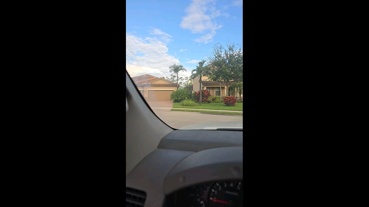 Florida Deer