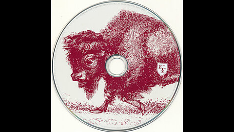 2005 - Foo Fighters - In Your Honour [2xCD Full Double Album]