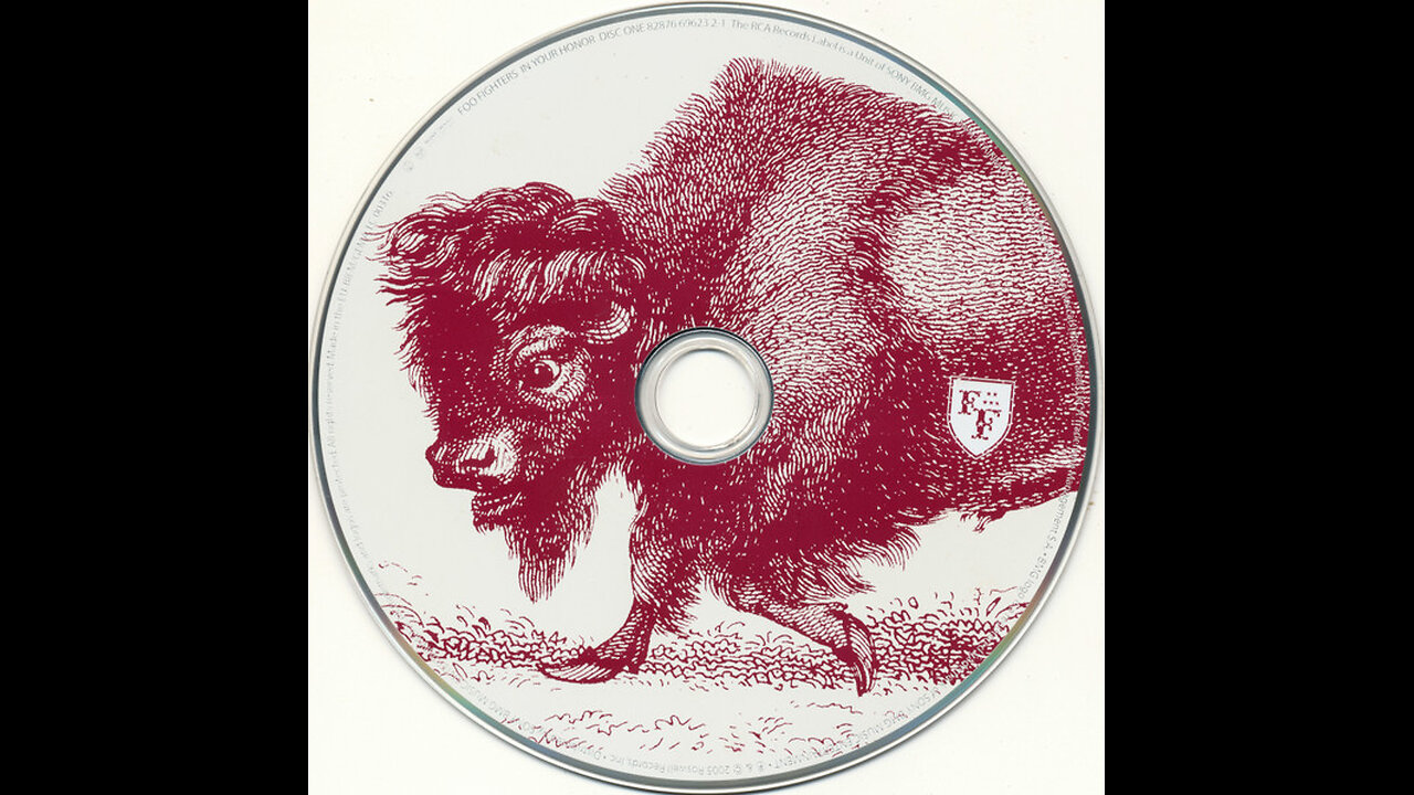2005 - Foo Fighters - In Your Honour [2xCD Full Double Album]