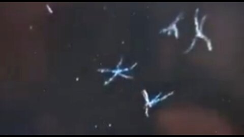 "X" MARKS THE SPOT ONCE AGAIN 💥