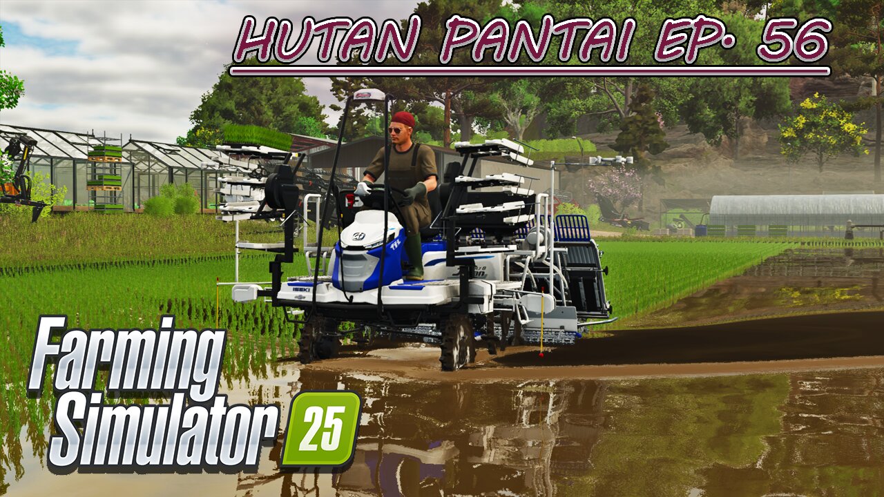 Fertilizing the Oat Field. Planting Rice. Cutting Trees. | HUTAN PANTAI EP 56 | Farming Simulator 25