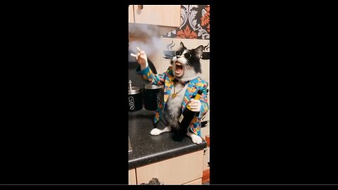 RIO 😺 PROOVES HE IS THE LIFE OF THE PARTY 🎈🎉🧨WITH HEAVY DRINKING 🍻 SMOKING 🚭 & LOUD MOUTH TALKING 👄