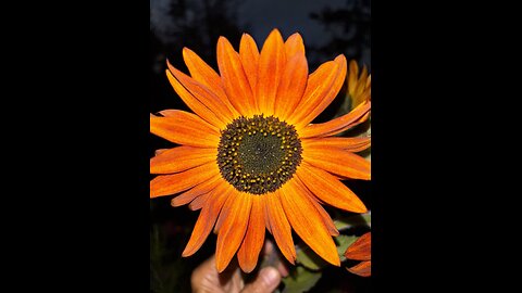 Autumn walk on the Off Grid