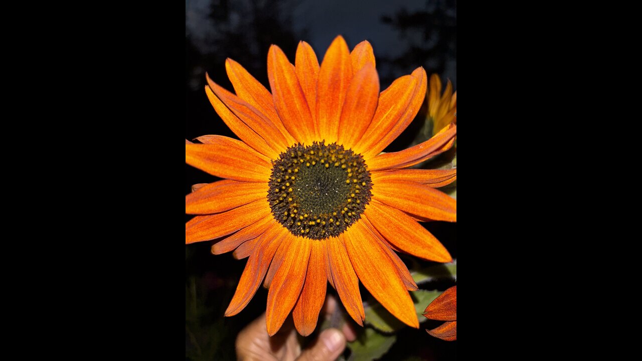 Autumn walk on the Off Grid