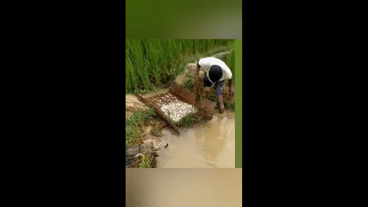 fishing lekh