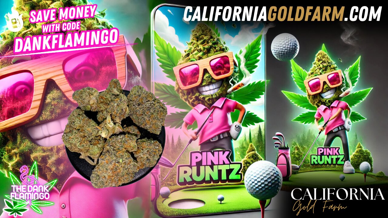 Enjoying Pink Runtz from California Gold Farm! The Dank Flamingo Review!!