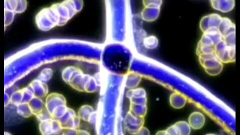 THIS.. IS.. GOING.. TO.. BLOW... YOUR.. MIND 🤯