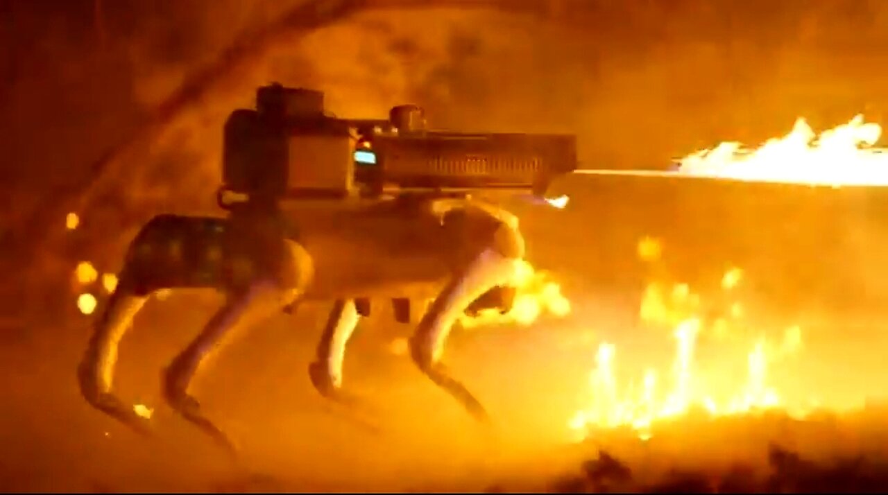 WTH - THE ROBOT DOG WITH A FLAMETHROWER - $9,420.00 FREE SHIPPING 🔥
