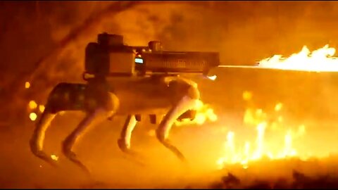 WTH - THE ROBOT DOG WITH A FLAMETHROWER - $9,420.00 FREE SHIPPING 🔥