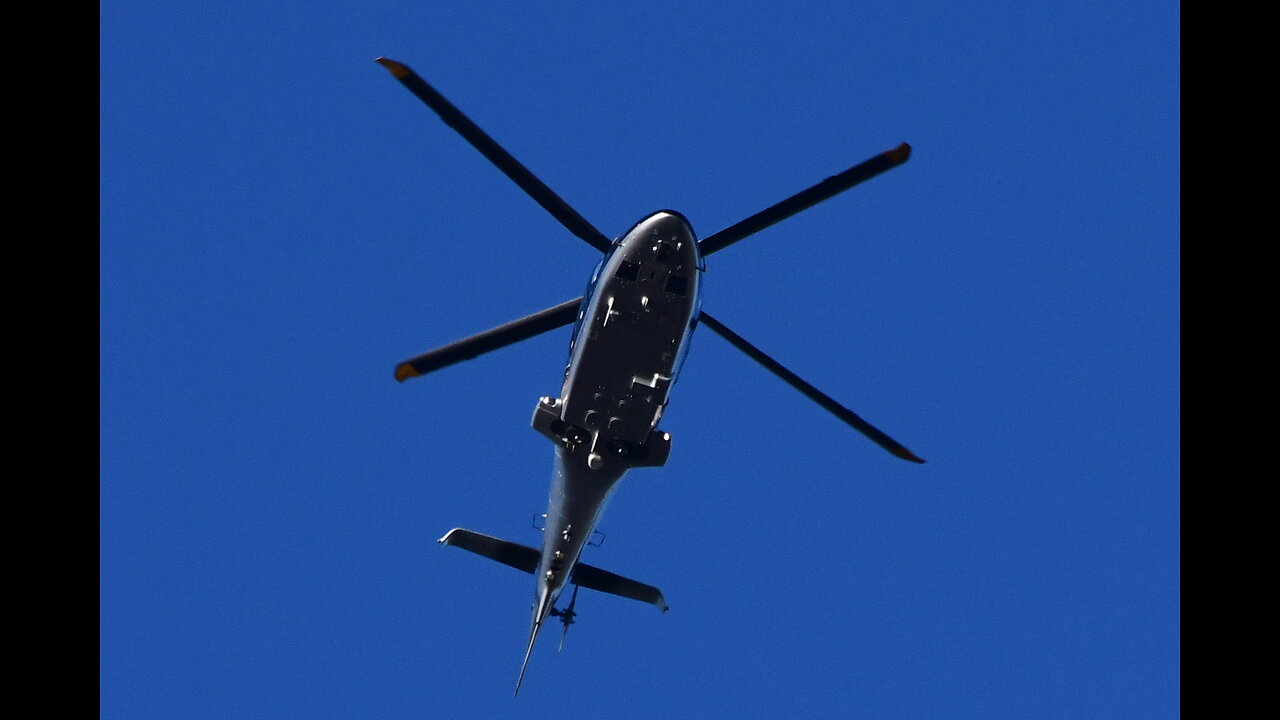 PHOTOGRAPHIC EVIDENCE OF FLYING MONKEYS