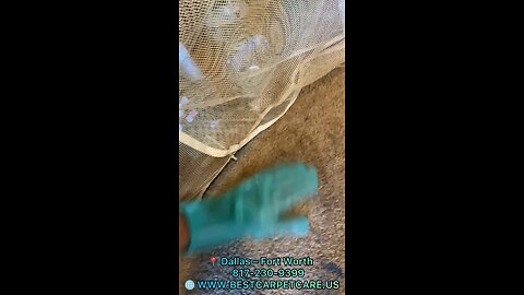 How to Easily Remove Cat Hair Embedded in Carpets 📍 Dallas – Fort Worth 📞 817-230-9399