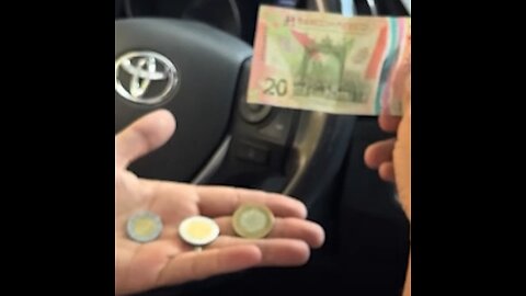 "Amo México": taxista francés presume de su colección de monedas mexicanas
