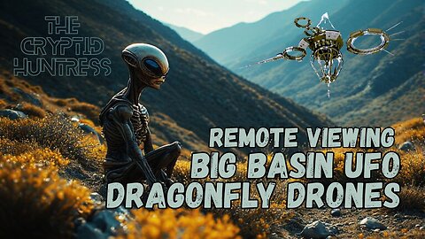BIG BASIN DRAGONFLY DRONE UFOS - REMOTE VIEWING INVESTIGATION