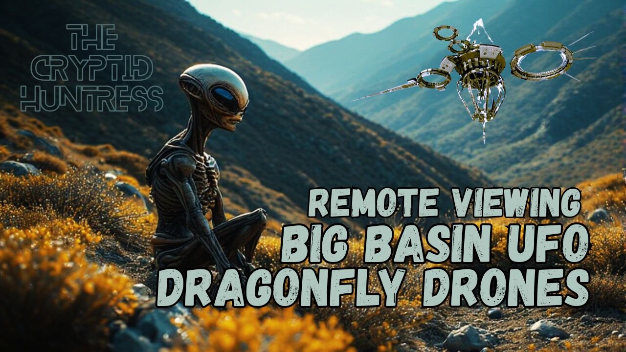 BIG BASIN DRAGONFLY DRONE UFOS - REMOTE VIEWING INVESTIGATION