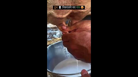 dudh nikaalne ke liye Ninja technic