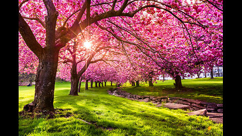 Spring Weather in Winter