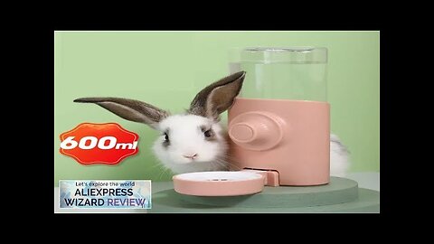 600ML Rabbit Water Dispenser Automatic Large-capacity Siphon Feeding Kettle Pet Supplies Review