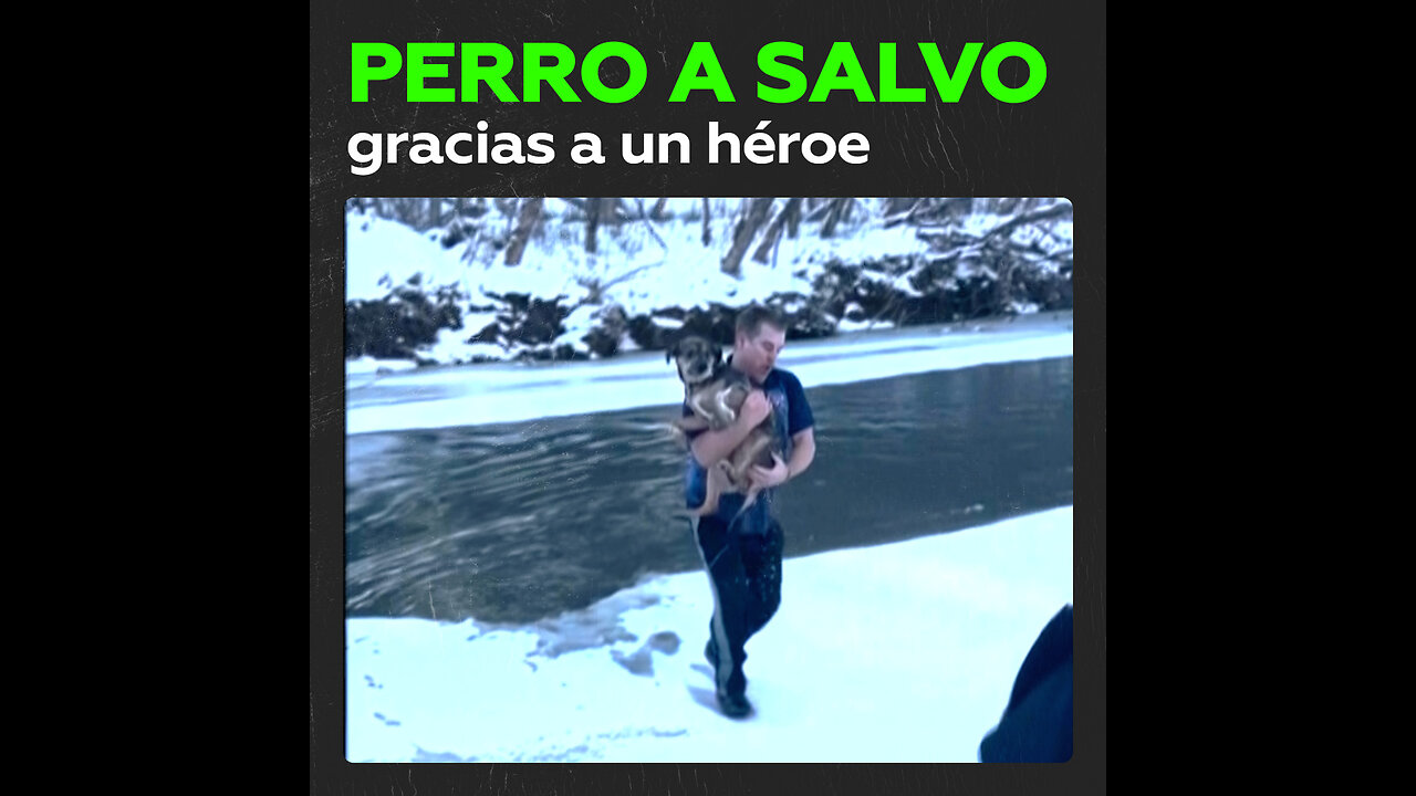 Héroe salva a un perro del agua helada