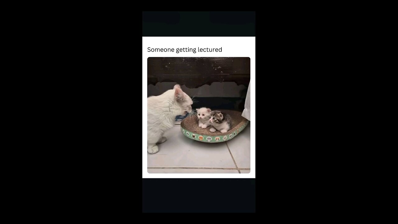 “When Life Gives You Funny Mood | Ultimate Meme Shorts”