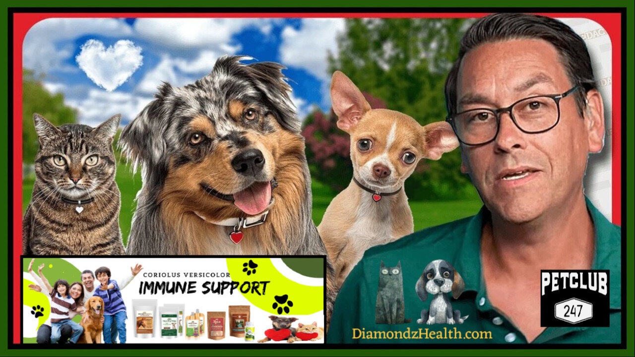 💦 PET WATCH 🐾 High Quality/Natural Pet Food, Treats and Toys For Our Furry Best Friends ♘ Horses Too! ‼️ Link in the Description