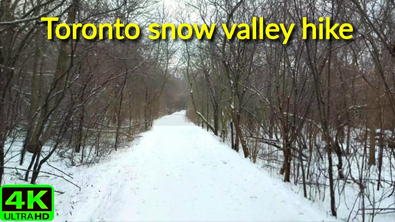 【4K】Toronto snow walk ❄️ at nature trails and cozy homes Canada 🇨🇦