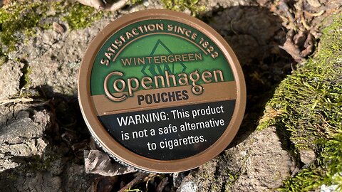 Copenhagen Wintergreen Pouches Dip Review