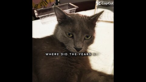 This is my first edit