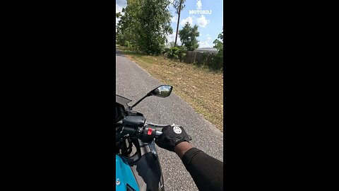 Everyone hates turtles and then there’s me!