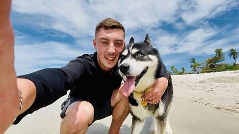 The REALITY of Living with a Husky in Thailand! 🐶🇹🇭
