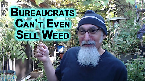 Bureaucrats Can’t Even Figure Out the Best Way To Sell Weed, Imagine What They Are Doing to Society