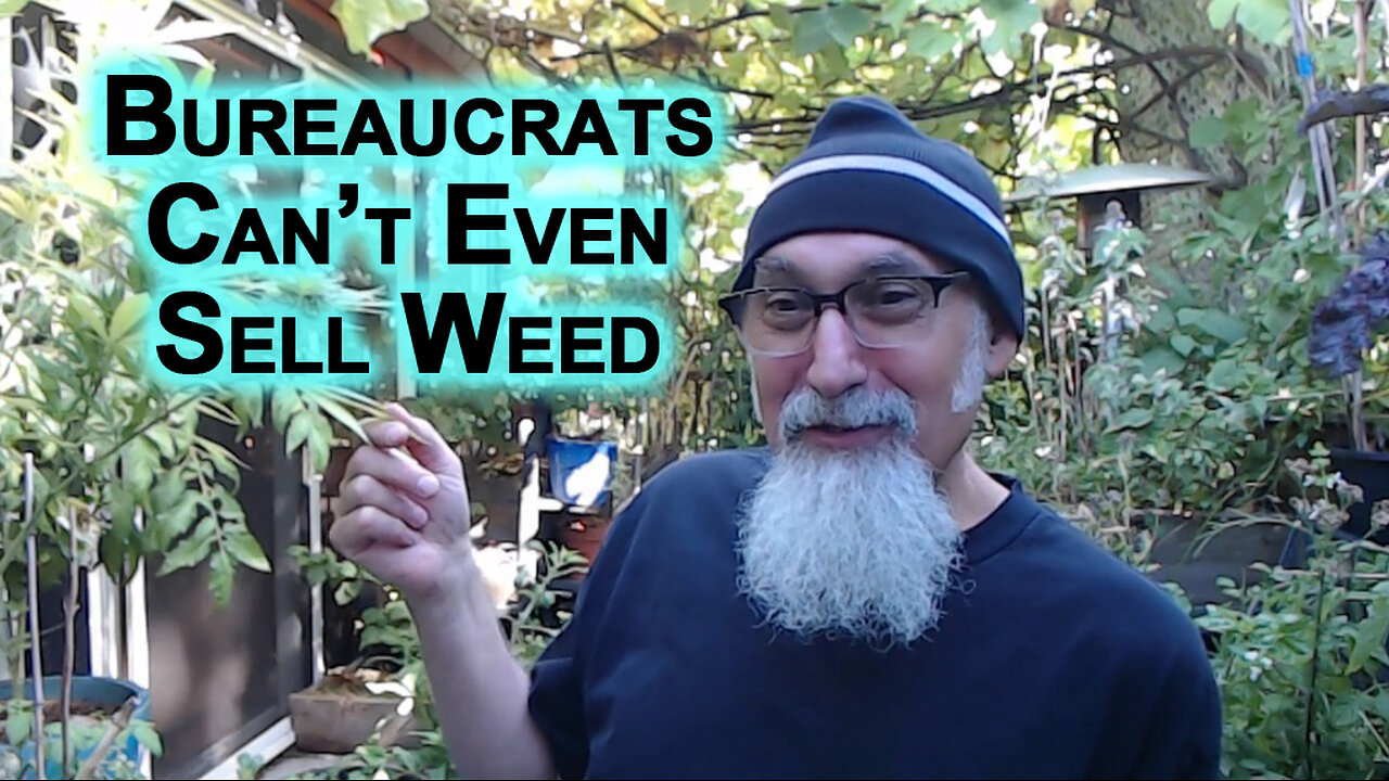 Bureaucrats Can’t Even Figure Out the Best Way To Sell Weed, Imagine What They Are Doing to Society