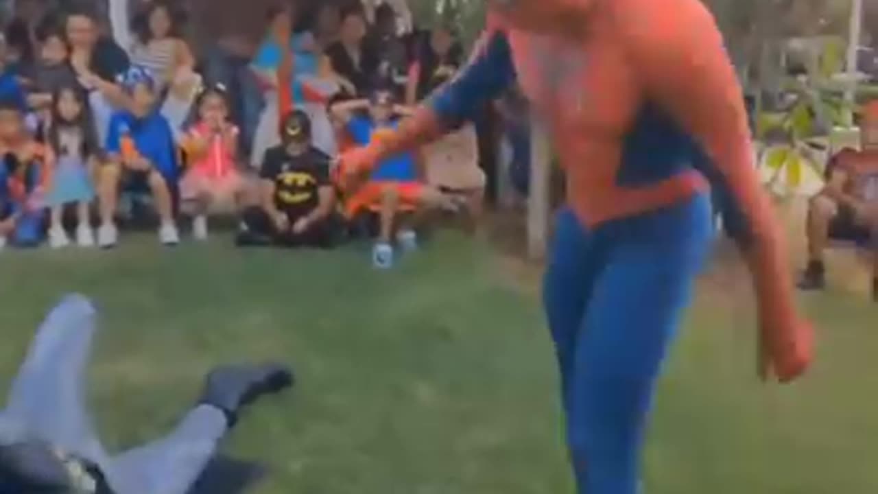 Spider-Man vs Batman