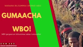Gabaasa Gumaacha ONM-ABO Sadaasa 7-2025 itti dhiyaadhaa!