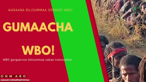 Gabaasa Gumaacha ONM-ABO Sadaasa 7-2025 itti dhiyaadhaa!
