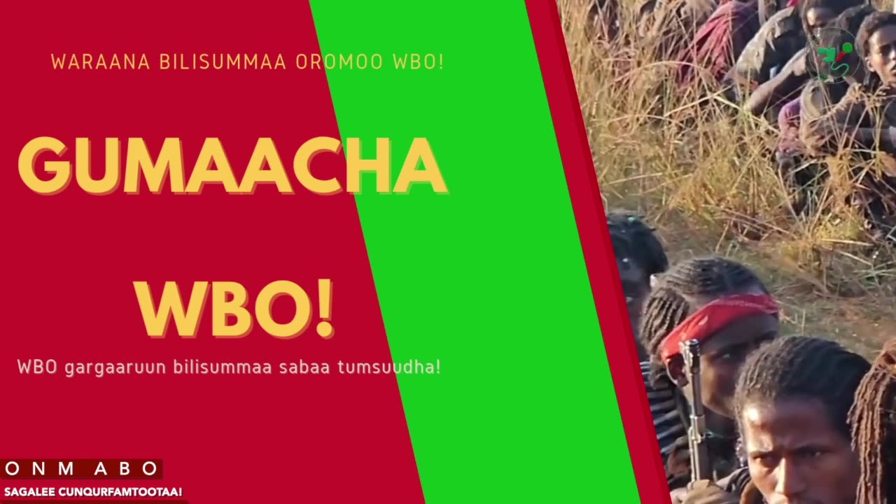 Gabaasa Gumaacha ONM-ABO Sadaasa 7-2025 itti dhiyaadhaa!