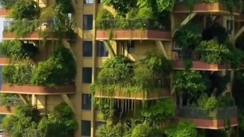 Peaceful Outdoor Views 🌳 Stunning Nature Scenes 🐦🌺 Amazing Nature Views 🍃 #Shorts