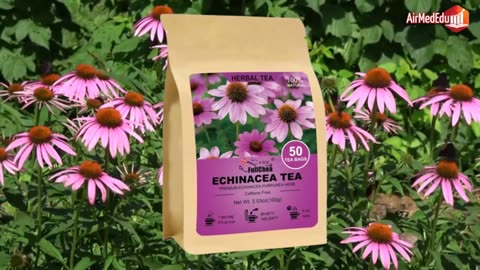 Effect of Echinacea Tea on the Body