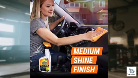 Stoner Car Care 91144 18-Ounce Upholstery and Carp