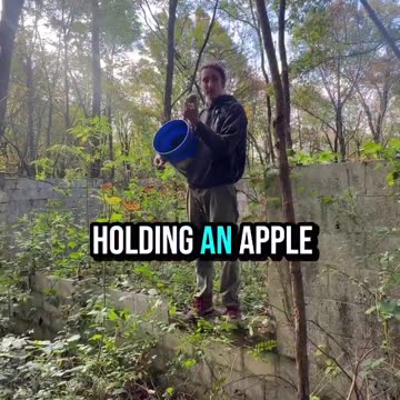 This guy is trying to preserve old apple varieties that were wiped out