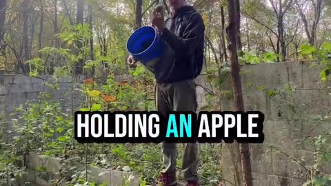 This guy is trying to preserve old apple varieties that were wiped out