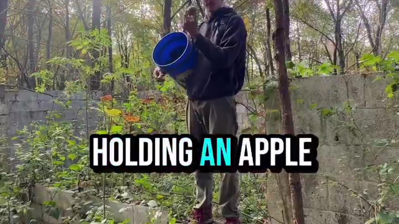 This guy is trying to preserve old apple varieties that were wiped out
