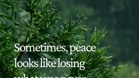 Letting Go Isn’t Losing — It’s Finally Choosing Peace 💭