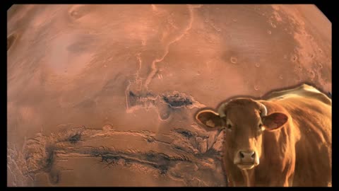 Judgemental Cow Defender of Mars