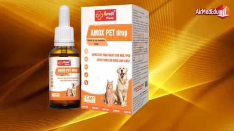 Meilleurs antibiotiques pour chiens
